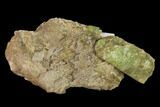 Yellow-Green Fluorapatite Crystals in Calcite - Ontario, Canada #137111-1